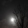 満月の夜に