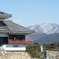 城