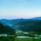 四谷千枚田の朝