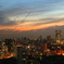 東京のシンボル
