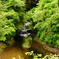 亀岩の洞窟