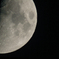 半月に近づく夜