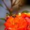 DSC05209b