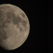 2015年05月29日　京都で見えた月