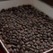 Kilimanjaro roast