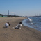 海にて