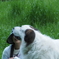 Good-girl!
