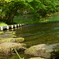 CSC_0241