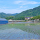 田植え