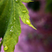 MACRO_TEST02