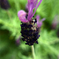 MACRO_TEST03