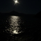 CSC_0322(1)