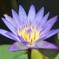 Planar 50mmf1.4