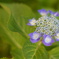 6月