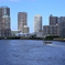 美しき東京の河の風景