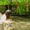 錦鯉集まれ～♪
