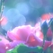 迷いの思考