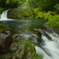 菊池渓谷～苔に萌える