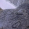 DSCN1737