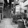 樋口一葉旧居と井戸