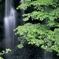 八千穂の滝Ⅱ