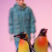 ペンギンのお散歩