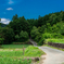 田舎の風景