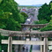 宮地嶽神社菖蒲まつり5