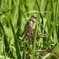 DSCN0433