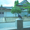 a dove