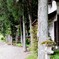 小さな神社