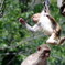 周南市、徳山動物園3