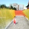 Girl in the rainbow