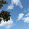 冬・海空