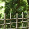 竹柵