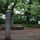 枡形山・山頂