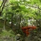 小石川後楽園