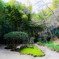報国寺　竹林