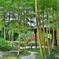 竹林公園２