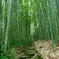 竹林公園３