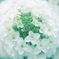 六月の花嫁…
