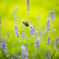 BEE WORKS