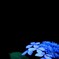 japonisme～紫陽花～