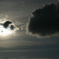 DSC00229