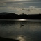 DSC00235