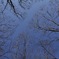 photo457494