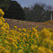 photo457495