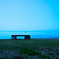 Shiga3