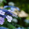 DSC09808