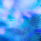 cobweb